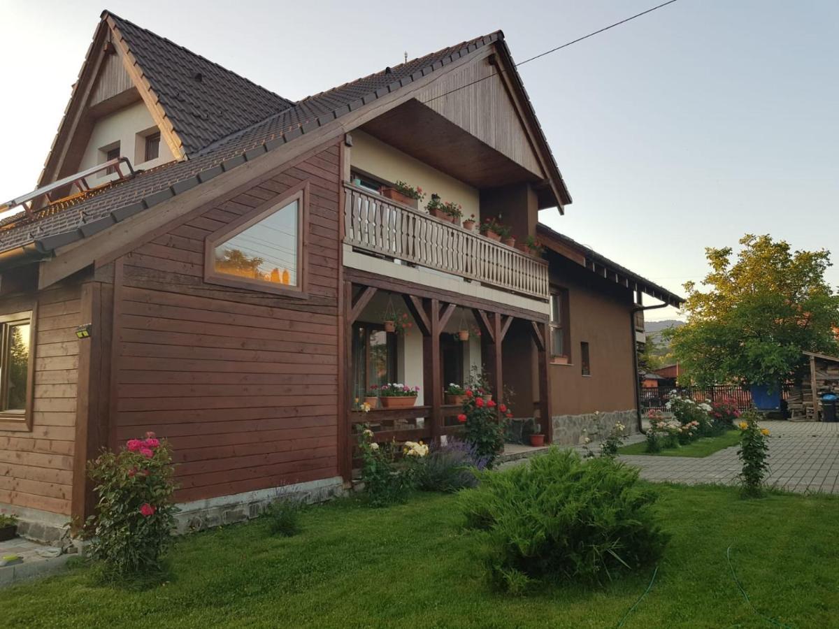 Pensiunea Rares Bistrita Bargaului Εξωτερικό φωτογραφία