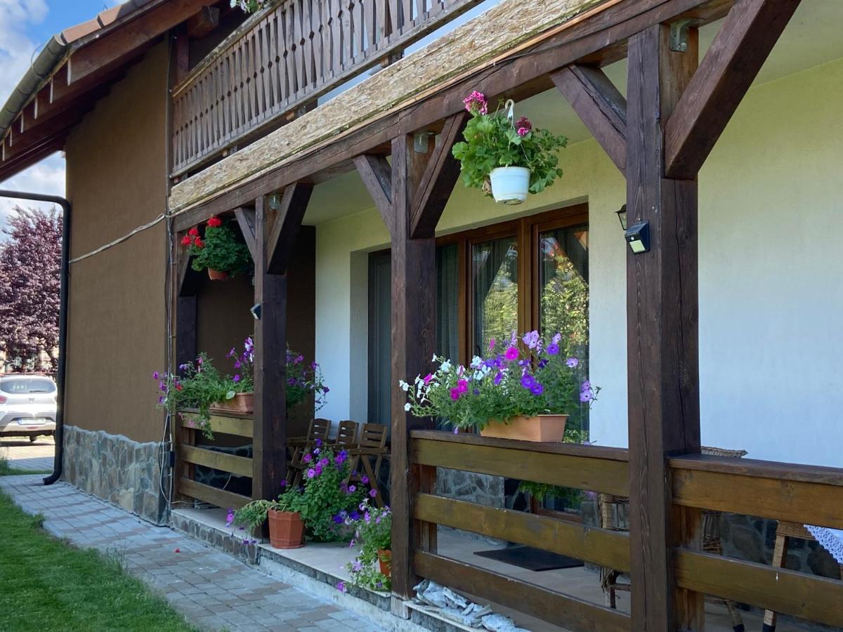 Pensiunea Rares Bistrita Bargaului Εξωτερικό φωτογραφία